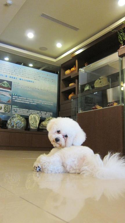 客至軒一館 Hualien City Εξωτερικό φωτογραφία